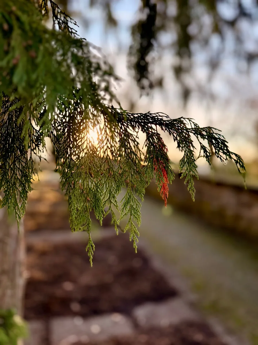 Atmosphäre im Leonberger Schlossgarten