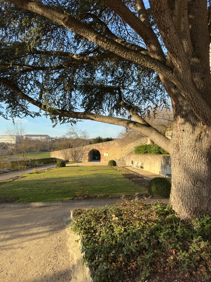Pomeranzengarten Leonberg - Grotte und alter Baum